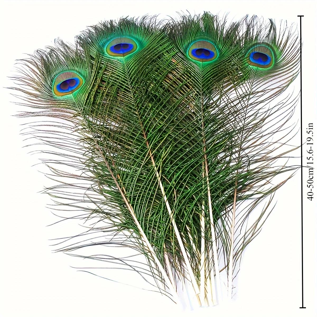Longas penas naturais pavão adequado para vaso artesanato, decoração do casamento, festa em família, Natal, em massa, 50 pcs - Image 1