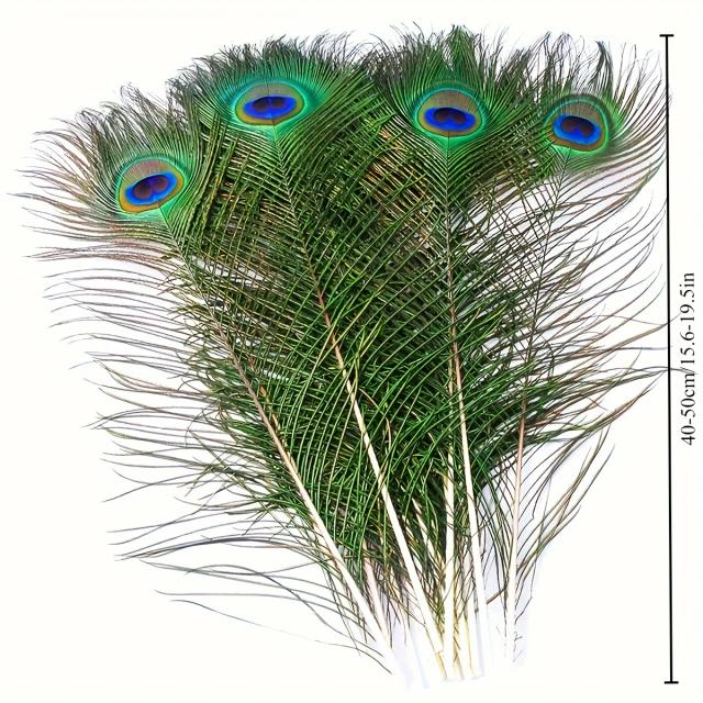 Longas penas naturais de pavão para artesanato, decorações de casamento, festas em família e Natal - Pacote com 50 peças