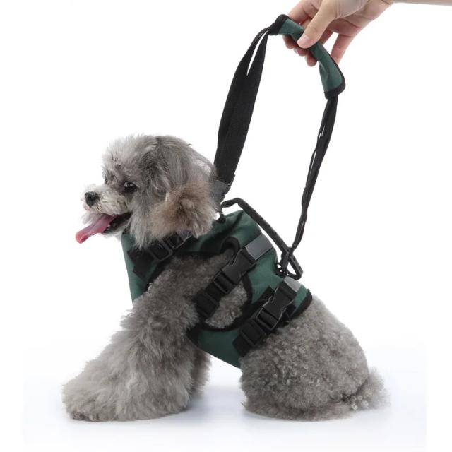 Arnês Multifuncional Ajustável e Reflexivo para Caminhadas com Cães
