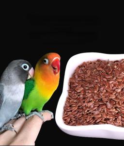 Alimento Natural Inteligente para Papagaio, Mistura Premium de Sementes, Boa Pena de Abeto, 0,5 kg - Image 2