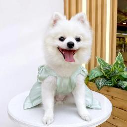 Vestido de casamento com saia arco, roupas para cães, roupas para gatos, ursinhos de pelúcia, roupas para cachorros pequenos, primavera e verão - Image 4
