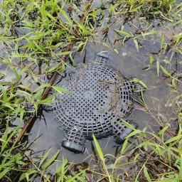 Black Fish Net gaiola para pesca, arrastão, Finless Eel, Loach Trap, Plastic Pot, Mud Container, armadilhas de pesca, 1Pc - Image 3