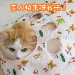 Túnel do gato com papel de ruído brinquedo do gato túnel de rolamento combinação transparente dobrável gato buraco gatinho ninho tenda suprimentos para animais estimação - Image 5