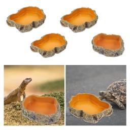 Réptil Água Tigelas Terrário Decorativo, Tigela De Alimentação De Resina para Sapo Tartaruga Tartaruga Leopardo Gecko - Image 3