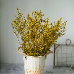 Flor preservada buquê limonium valentium presente amor grama natural flores secas para decoração de casamento arranjo material - Image 2