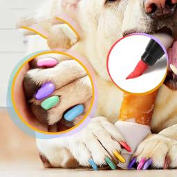 Conjunto de esmaltes para animais de estimação, esmalte de cachorro, 12 cores, secagem rápida, cor, incrível arte de unhas - Image 2