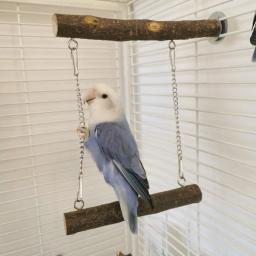 Papagaio Stand Swing Brinquedos com poleiro de madeira, quebra-cabeça resistente à mordida, Fitness Bird Perch, Trapeze Stick for Lovebird and Cockatiel - Image 2