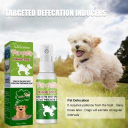 Indoor Pet Potty Training Spray, Indutor Dog Poops, Cat Posicionamento Defecação, Puppy Stool Localização, Pet WC - Image 4