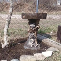 Alimentador De Água De Resina Para A Decoração Do Jardim, Little Raccoon E Girassol, Banho Natural Do Pássaro, Ornamento Bebendo - Image 4