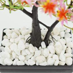 Natural Multicolor Decorativo Rio Rock Seixos, Cascalho do aquário do jardim, Vaso De Tanque De Peixes, Decorar Plantas Em Vaso, 100g - Image 5