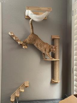 Prateleira de escalada na parede para gatos, Escada com corda de sisal, Arranhador, Árvore para dormir gatinho, Steps Furniture - Image 5