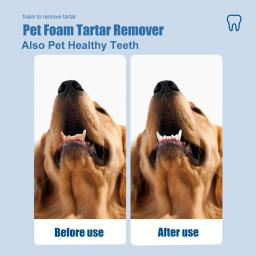 Pet spray oral dental removedor de sujeira dentes gato limpeza purificadores de respiração remover placa do cão mau cheiro boca inofensivo cuidados saudáveis - Image 4