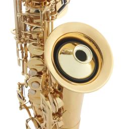 Profissional Alto saxofone silenciador, ABS silenciador mudo, sopros instrumentos acessórios - Image 6