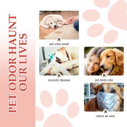 Pet Odor Eliminator Spray, Dog Liquid Fragrância, Remoção de Odor Corporal, Cheiro Grande, Long Lasting Clean Deodorant, Perfumes Líquidos Cat - Image 3