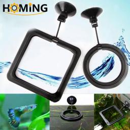 Peixe Alimentando Suprimentos Círculo De Flutuabilidade De Plástico Para O Aquário De Flutuação Alimentador De Alimentos Quadrado/Acessório De Tanque De Peixes Anel De Alimentação Redonda - Image 1