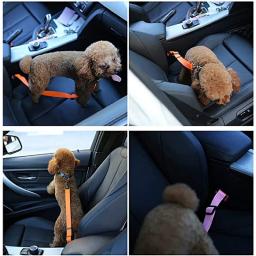 Cão de estimação gato cinto de segurança do carro trela ajustável cinto de segurança do veículo suprimentos para animais de estimação arnês segura alavanca tração collar filhote de cachorro trela - Image 2