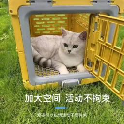 Suprimentos para animais de estimação carro portátil gaiola de gato portátil dobrável caso de vôo canil respirável para fora pet check-in caixa - Image 2