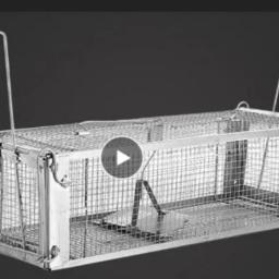 Armadilha de rato reutilizável com duas portas, armadilha para rastreamento e caça, armadilha para ratos, roedores, com embalagem firme - Image 1