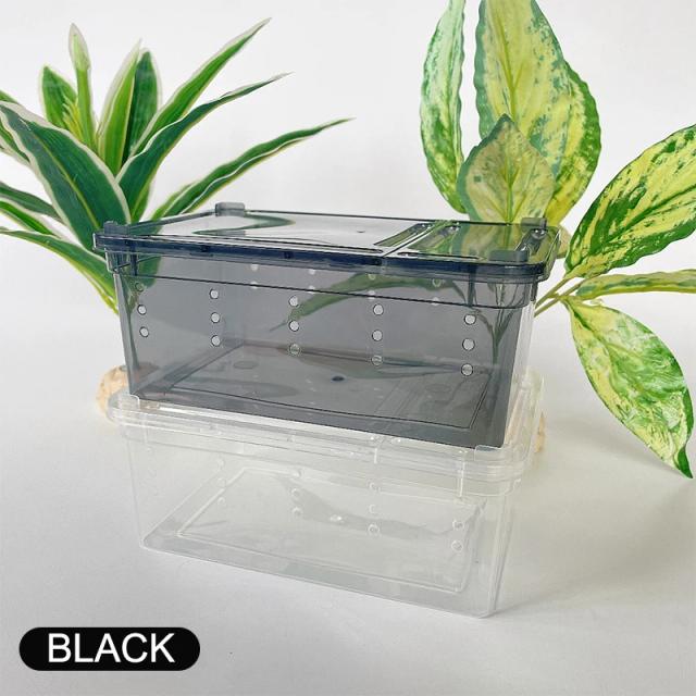 Terrário Transparente para Répteis - Caixa de Alimentação de Plástico (19cm x 12.5cm x 7.5cm) Ideal para Insetos