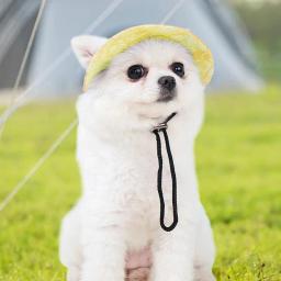 Boné de beisebol com protetor solar para animais de estimação, proteção solar, macio e confortável, cão pequeno, caminhada ao ar livre, cachorro - Image 3