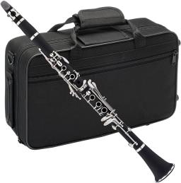 Rowtter YCL-255 bb clarinete 17 chave sib klarnet/abs material do corpo clarinette - Image 6