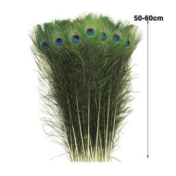 Penas naturais do pavão para arranjos florais DIY, pena real, decoração da mesa do casamento, decoração do vaso, 30pcs - Image 6