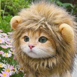 Cute Lion Mane Wig para Animais de Estimação, Cão Pequeno, Gatos, Traje, Boné, Chapéu, Fantasia, Cosplay, Brinquedo, Pet Acessório - Image 4