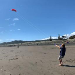 Frete grátis 250cm dual line stunt power kites flying toys for kids kite surf beach kites professional wind kites factory sport - Image 5