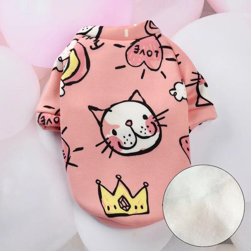 Terno bonito de gato estampado, pulôver quente para gatos, suéter macio para gatinho Kedi, roupas Sphynx, primavera e outono - Image 1