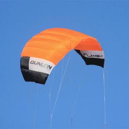 Professional Wind Kites para adultos, Kites Stunt, quad Line Power, Kitesurf, grandes papagaios macios, diversão de fábrica, frete grátis - Image 2