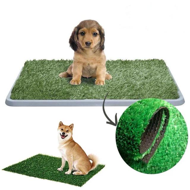Tapete de Grama Artificial para Treinamento de Cães e Gatos: Acessórios Ideais para Potty Trainer em Ambientes Internos