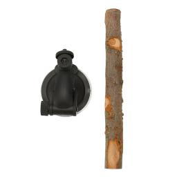 Suporte de madeira do pássaro com ventosas, Pássaro em pé vara, Evitar o deslizamento, Interativo, Perch Window, Pequeno e médio - Image 4