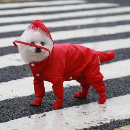 Impermeável de quatro patas para cães e gatos, macacão com tudo incluído, roupas impermeáveis, capa de chuva, roupas para animais, moda chovendo - Image 4