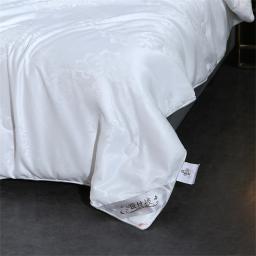 Lanlika-Luxo Branco Natureza Colcha De Seda, 100% Consolador De Seda, Calor Jacquard Edredon, toda a temporada, duplo, rainha, rei Cobertor Do Sono, 1Pc - Image 4