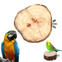 Rodada De Madeira Esquilo Parrot Bird Poleiro, Plataforma Stand para Pet Bird, Chinchilla Parrot, Plataforma De Mergulho De Madeira Pier, Birds Toy - Image 4