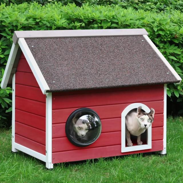 Casa de Gato com Janela Clara e Camas no Sótão - Espaço Aconchegante para Gatos Selvagens