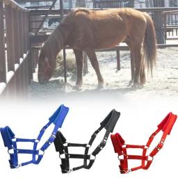 1pc macio acolchoado pônei cavalo halter brida headstall cabeça colar acessórios de equitação ergonômico confortável sem encaixe halteres - Image 1