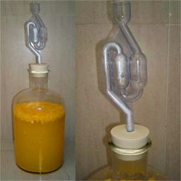Brewing Sifão Mangueira Vinho Beer Making Tool, Food Grade, Plástico, Homebrew, Novo, 2 Tipos - Image 1
