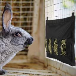 Saco de feno pendurado bolsa alimentador titular dispensador de alimentação recipiente para coelho cobaia pequenos animais estimação oxford pano - Image 5