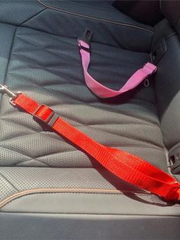 Cinto de segurança retrátil para cão e gato, cintos de segurança ajustáveis para carro, 1pc - Image 4