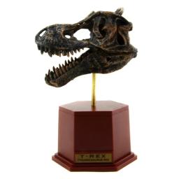 Dinossauro fóssil kits de brinquedo arqueológico jurássico mundo dinossauro esqueleto modelo ciência educacional simulação dinossauro, presente - Image 5