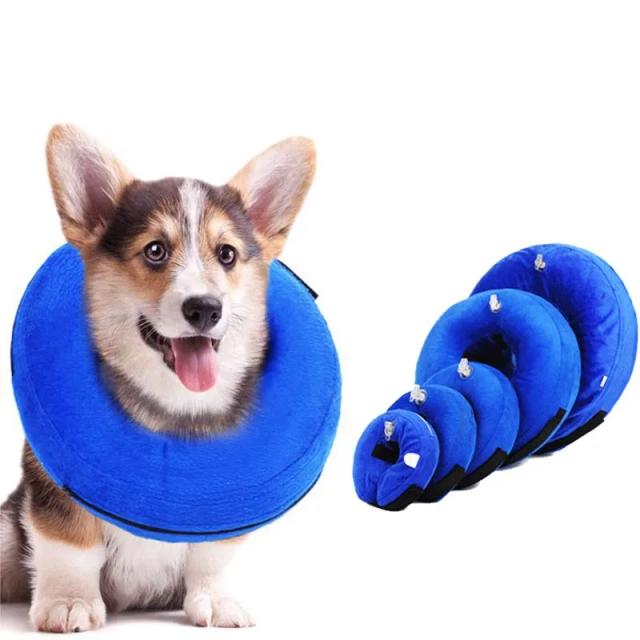 Colar Inflável Protetor para Cães e Gatos: Conforto e Segurança Após Cirurgias