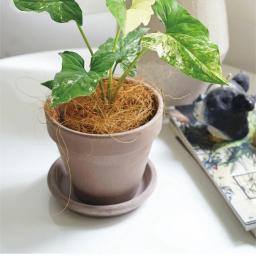 Cobertura de vaso de fibra de coco natural, Artesanato à Prova de Insetos, Proteja o Solo da Flor, Mantenha Ninho de Pássaro Quente, 50g, 100g - Image 3