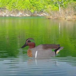 Nordic Flutuante Duck Decoy, Patos Simulação, Caça Duck, Piscina Jardim, Jarda, Lago, Decoração Home, Acessórios de Jardim - Image 3