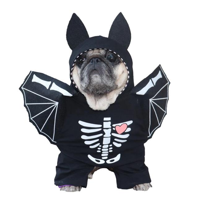 Fantasias de Halloween para Animais de Estimação: Traje de Morcego Preto para Cães e Gatos, Ideal para Festas e Eventos Divertidos