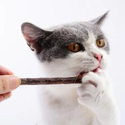 Puro Natural Catnip Pet Toy Suit, creme dental Molar de segurança, ramo de limpeza dos dentes, Silvervine Cat Snacks Sticks, Pet Shop, quente - Image 2