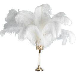 Penas brancas de avestruz para decoração, tampo de penas grandes, mesa carnavalesco, acessórios decorativos para casamento 15-70cm - Image 1