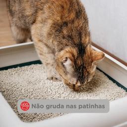 Areia para Gatos 3,6kg White Blue - PP099 - Image 5