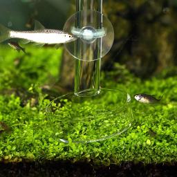 Prato De Tubo De Alimentação De Vidro Claro, tanque De Peixes, camarão, alimentador De Comida De Caracol, tigela, aquário Alimentação Ferramenta Acessórios - Image 6