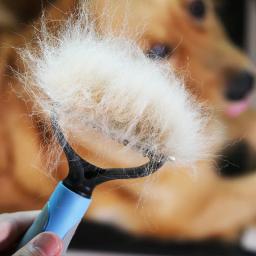Cão de estimação gato depilação pente desmancha aparador de depilação escova grooming ferramenta para cabelo longo encaracolado cão de estimação produtos - Image 4